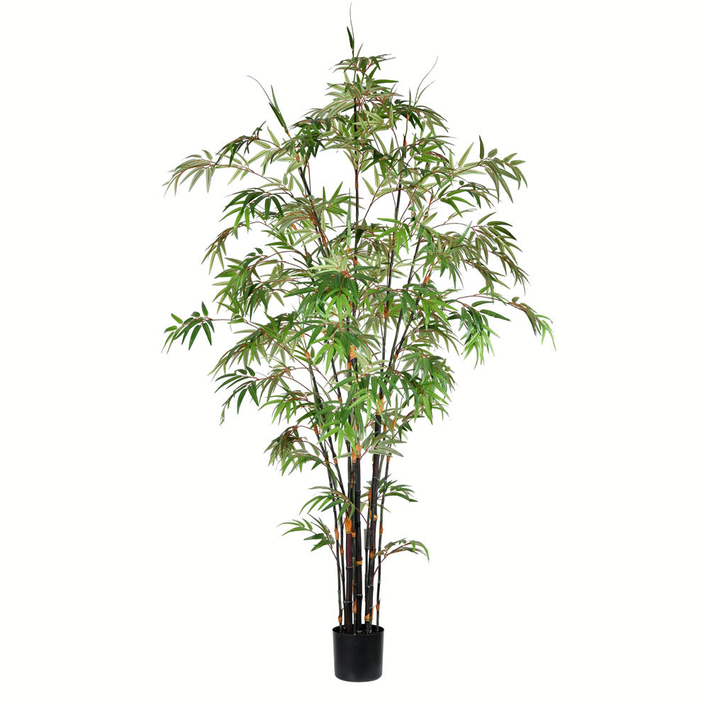 Vickerman Artificial Potted Black Japanese Bamboo Tree
