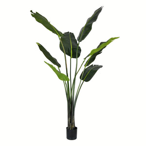 Vickerman 5' Artificial Potted Travellers Palm Tree