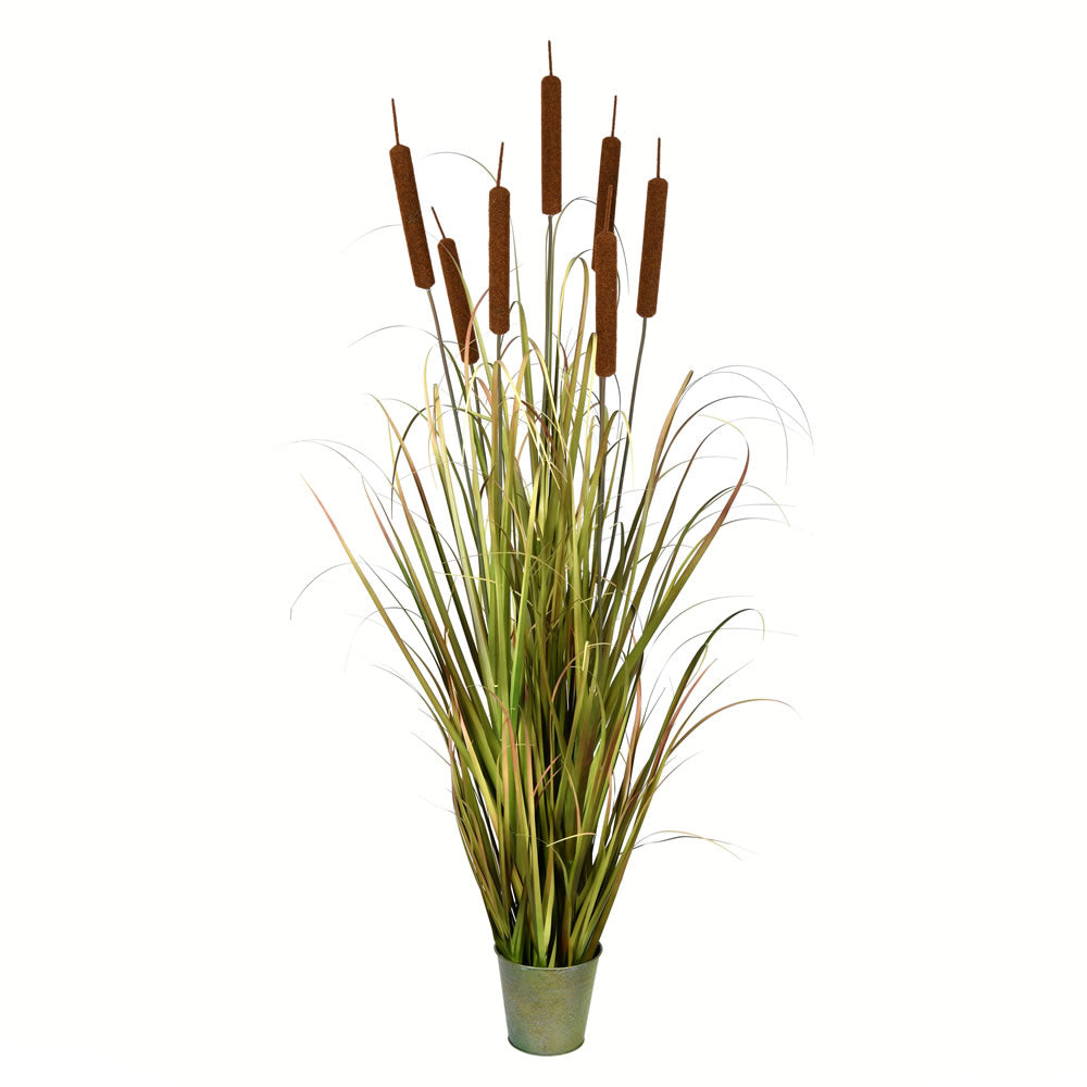 Vickerman 60" Artificial Potted Green Grass with Cattails, PVC