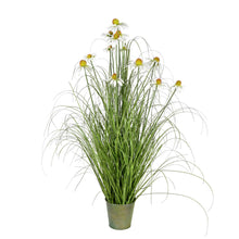 Load image into Gallery viewer, Vickerman Artificial Potted Green Grass And Daisies