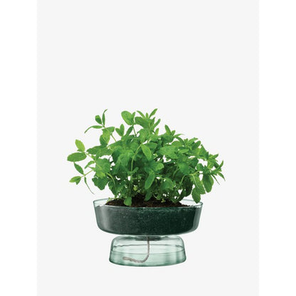 LSA International Canopy Self Watering Planter H14.5Cm Recycled/Part Optic
