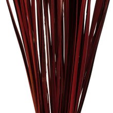 Load image into Gallery viewer, Vickerman 28”-36&quot; Red Splinter Grass, 2 Pack, Dried