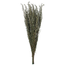 Load image into Gallery viewer, Vickerman 22-26&quot; Natural White Grabia, 5-6 Oz Bundle, Preserved