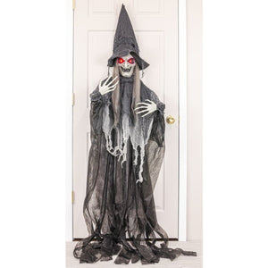 Hanna’s Handiworks Cackling Witch Hanger With Lights And Sound