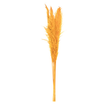 Vickerman 46" Dried Aspen Gold Pampas Grass, 6 Pieces Per Pack