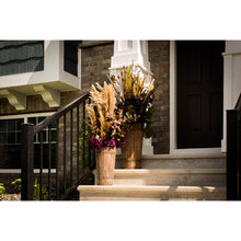 Load image into Gallery viewer, Vickerman 36&quot; Ivory Plume Reed Bundle (15-20 Stems), Preserved