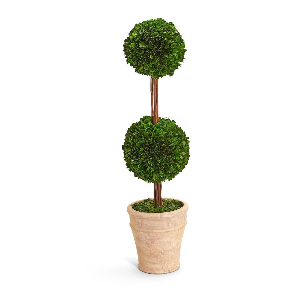 Two's Company 31.5 inches Preserved Boxwood Double Ball Topiary