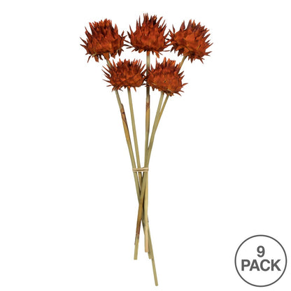 Vickerman 15" Autumn Artichoke Head attached to a Reed Stem, Dried