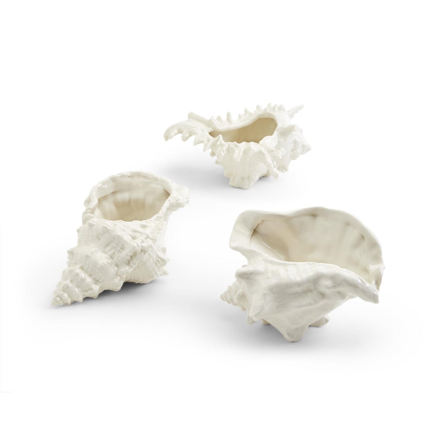 Two's Company Seashell Decor Cachepot, Set of 3, Assorted 3 Designs