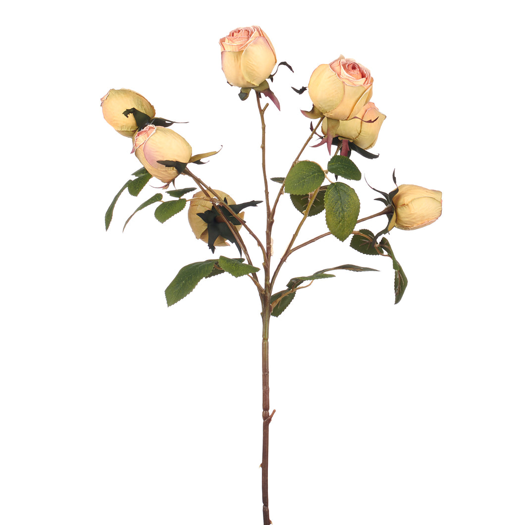 Goodwill Roses On Stem Pink/Cream/Green 70Cm