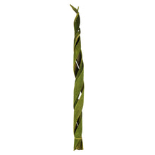 Load image into Gallery viewer, Vickerman 45 - 48&quot; Basil Coco Velvet - Curled, 3 Stems, Dried