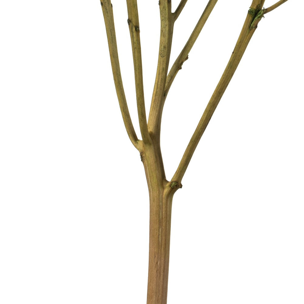 Vickerman 15" Antique Moss Hydrangea with Multiple Branch Segments Preserved
