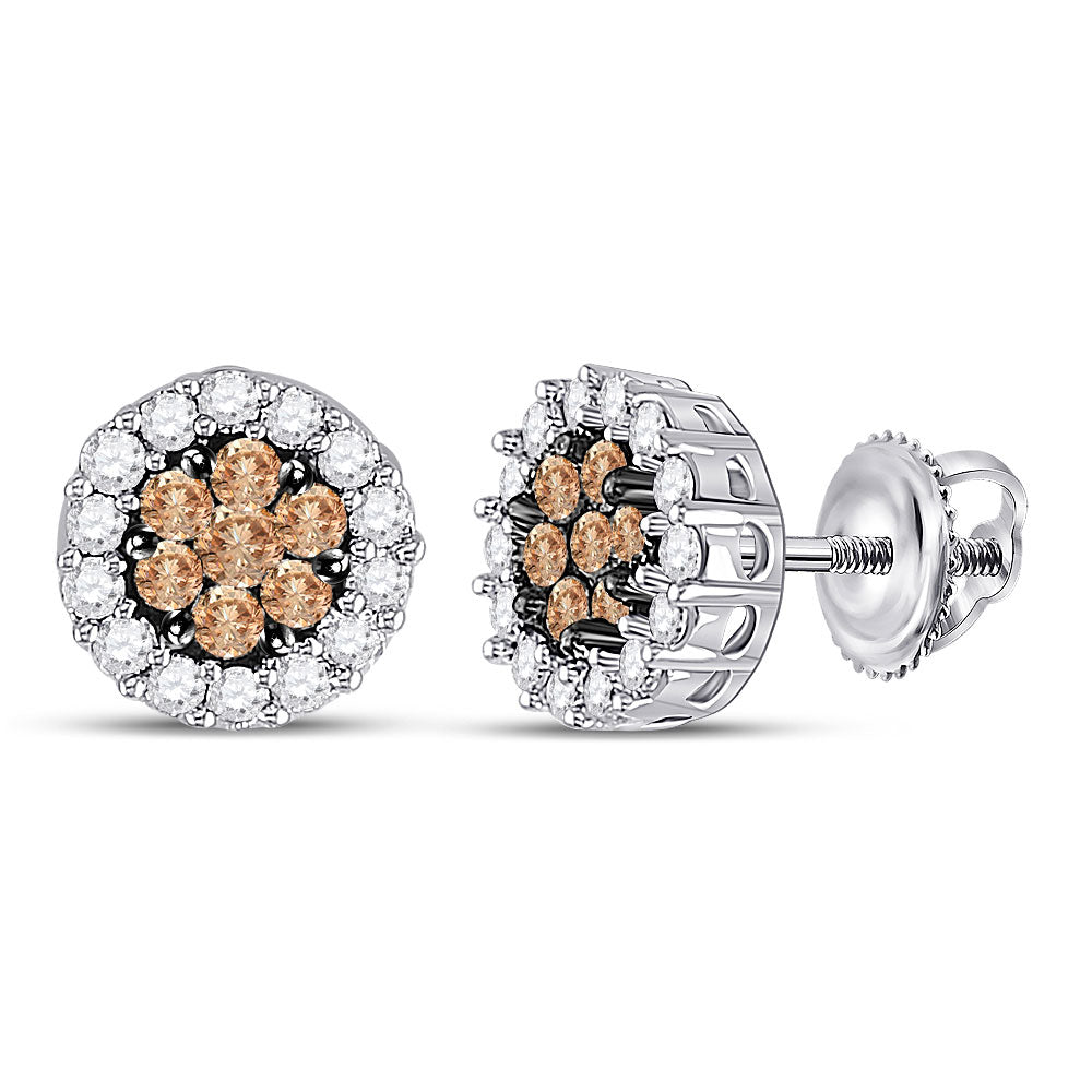 GND 14kt White Gold Womens Round Brown Diamond Flower Cluster Earrings 3/4 Cttw
