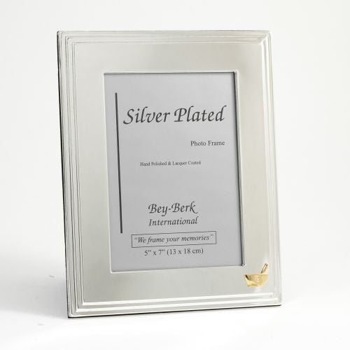 Silver Plated 5"X7" Picture Frame With "Pharmacy" Emblem