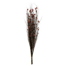 Load image into Gallery viewer, Vickerman 36-40&quot; Red Bell Grass With Seed Pods, 8-9 Oz Bundle, Preserved