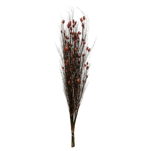 Vickerman 36-40" Red Bell Grass With Seed Pods, 8-9 Oz Bundle, Preserved