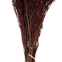 Load image into Gallery viewer, Vickerman 22-26&quot; Red Grabia, 5-6 Oz Bundle, Preserved