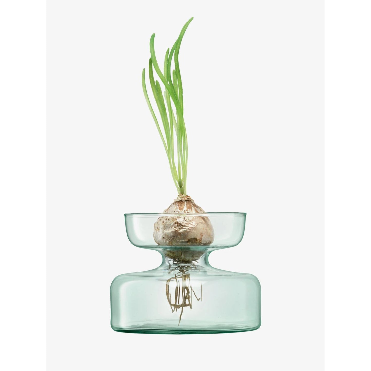 LSA International Canopy Vase/Bulb Planter, H4 inches, Clear, Mouthblown Glass