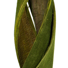 Load image into Gallery viewer, Vickerman 45 - 48&quot; Basil Coco Velvet - Curled, 3 Stems, Dried