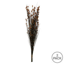 Load image into Gallery viewer, Vickerman 36-40&quot; Long Stem Bell Grass With Autumn Colored Seed Pods, 2 Packs
