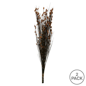 Vickerman 36-40" Long Stem Bell Grass With Autumn Colored Seed Pods, 2 Packs