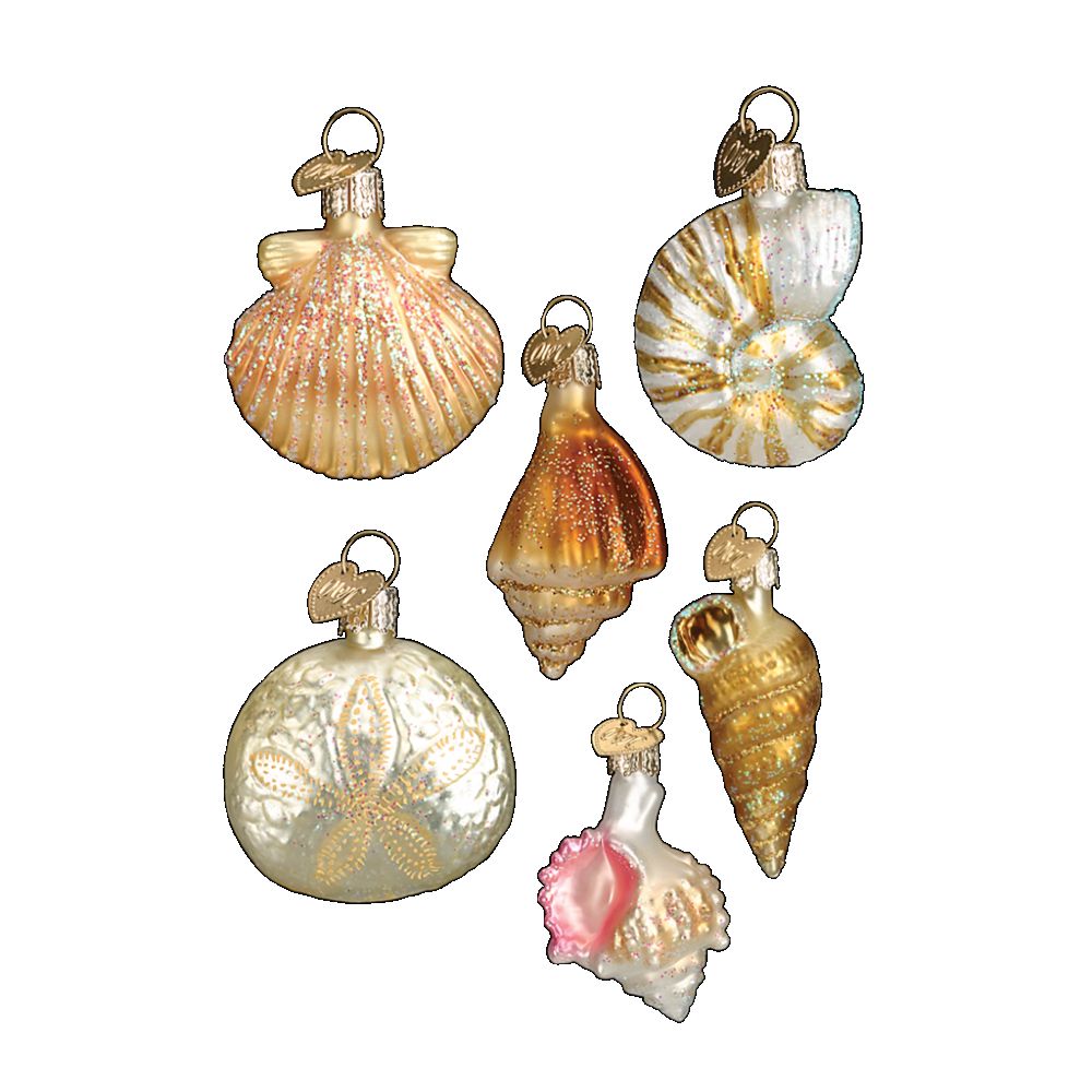 Old World Christmas Assorted Sea Shell Assortment of 6 Ornament
