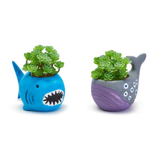 Load image into Gallery viewer, Two&#39;s Company Paint Your Own Sealife Planter Kit, Assorted 2 Designs