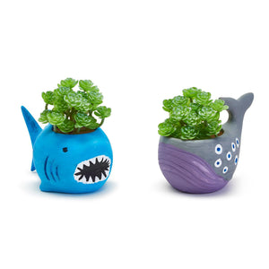Two's Company Paint Your Own Sealife Planter Kit, Assorted 2 Designs