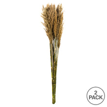 Load image into Gallery viewer, Vickerman 36&quot; Ivory Plume Reed Bundle, 2 Packs, Preserved