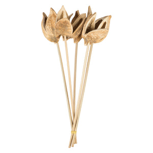 Vickerman 16" Bleached Sora Pod Attached To A Wood Stem, Includes 10 Per Pack