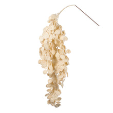 Load image into Gallery viewer, Goodwill Snowy Honesty Petal Stem 109Cm