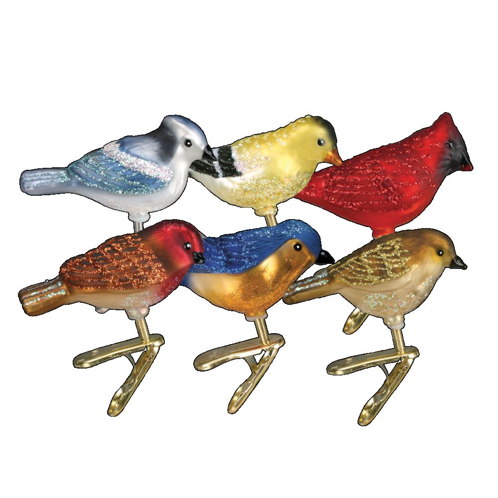 Old World Christmas Mini Songbirds Ornament Set of 6