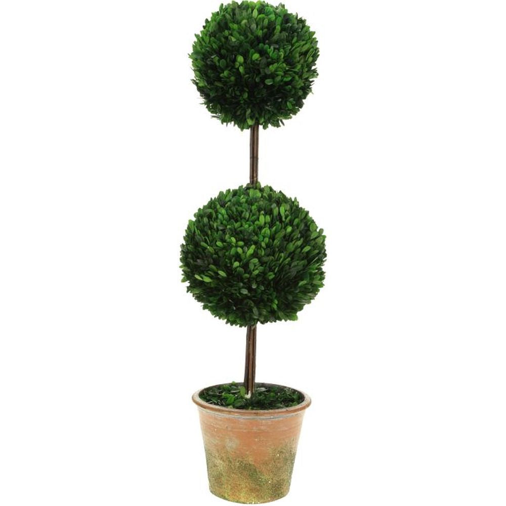 Mark Roberts Spring 2020 Tall Double Boxwood Topiary, 42 inches