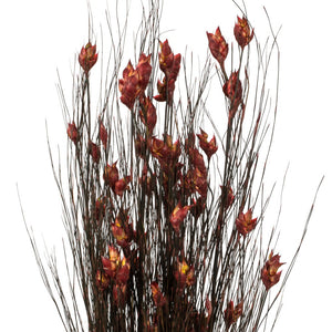 Vickerman 36-40" Red Bell Grass With Seed Pods, 8-9 Oz Bundle, Preserved