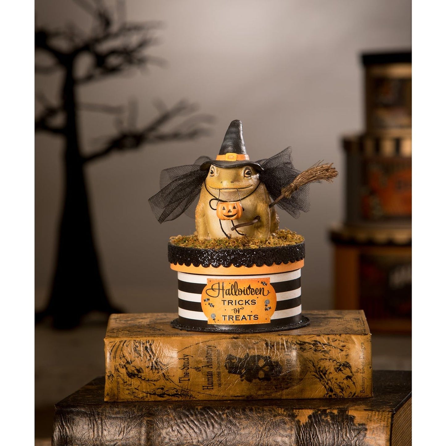Bethany Lowe Witchy Toad On Box
