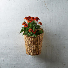 Load image into Gallery viewer, Two&#39;s Company Rice Nut Weave Hanging Storage / Planter Basket