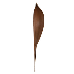 Vickerman 24-30" Natural Palm Paddle, 3 per Pack, Dried