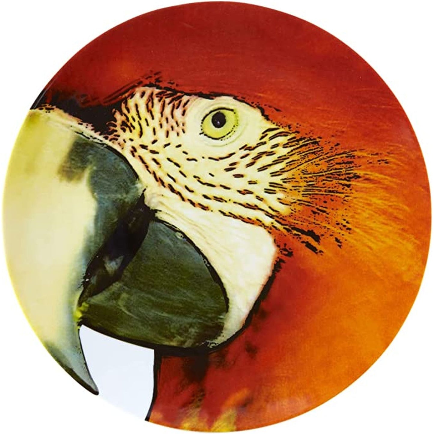 Vista Alegre Olhar O Brasil Charger Plate Red Macaw, 13"