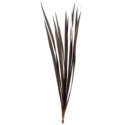 Vickerman 18-30” Brown Snake Grass, Includes 36 Stems, Dried