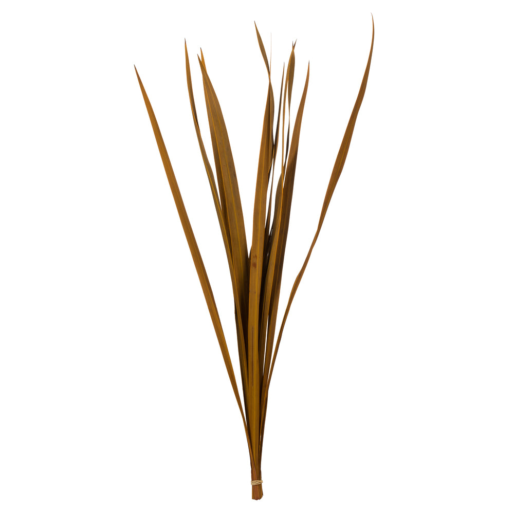 Vickerman 18-30” Aspen Gold Snake Grass, Includes 36 Stems, Dried