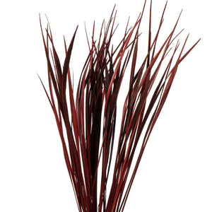 Vickerman 28”-36" Red Splinter Grass, 2 Pack, Dried