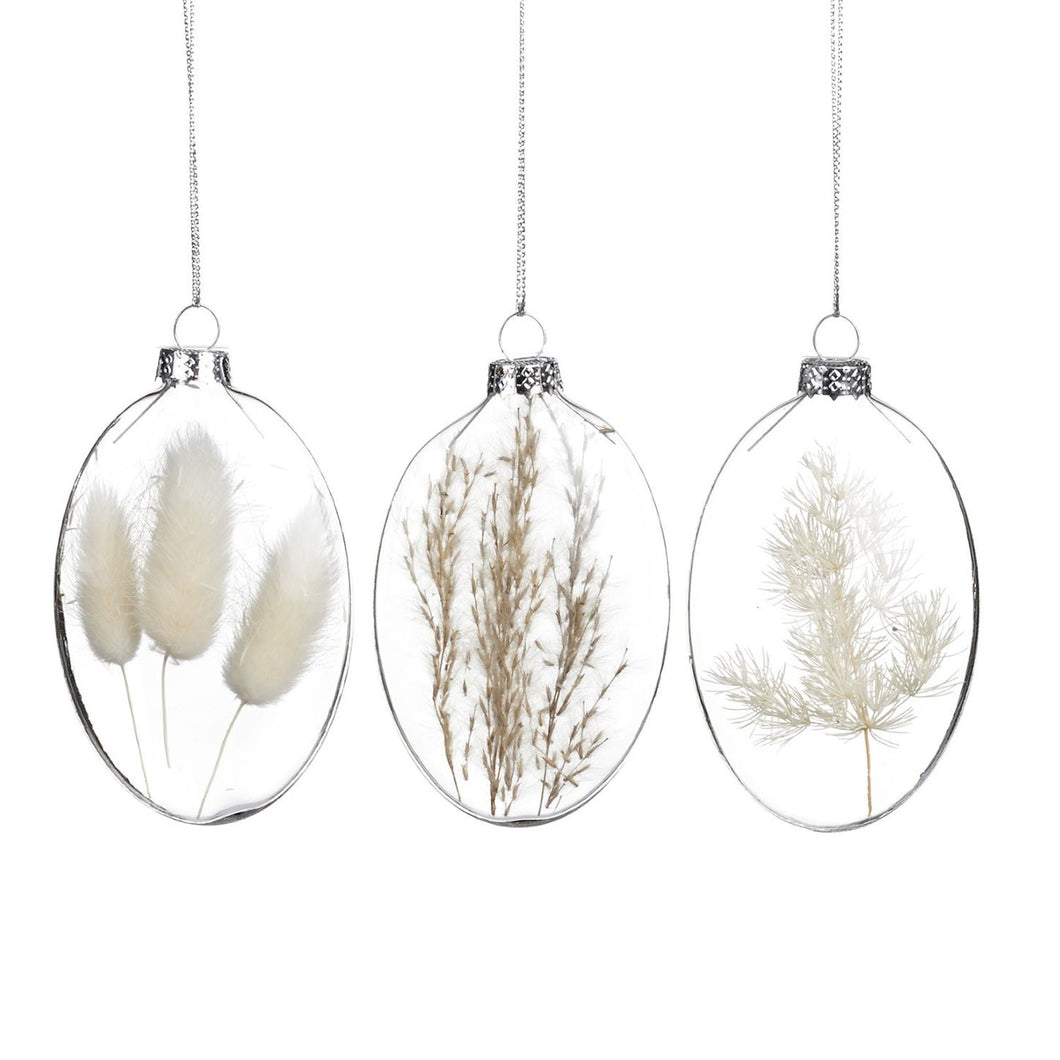 Goodwill Glass Dried Plant Oval Ornament Clear/Brown 9Cm, Set Of 3, Assortment