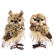 Load image into Gallery viewer, Goodwill Furry Spotted Owl Two-tone Brown/Cream, Set Of 2, Assortment