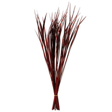 Load image into Gallery viewer, Vickerman 28”-36&quot; Red Splinter Grass, 2 Pack, Dried