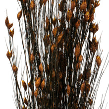 Load image into Gallery viewer, Vickerman 36-40&quot; Autumn Bell Grass With Seed Pods, 8-9 Oz Bundle, Preserved