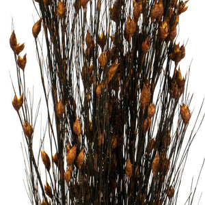 Vickerman 36-40" Autumn Bell Grass With Seed Pods, 8-9 Oz Bundle, Preserved