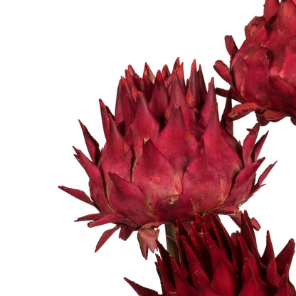 Vickerman 15" Red Artichoke Head attached to a Reed Stem, 9 per Pack, Dried