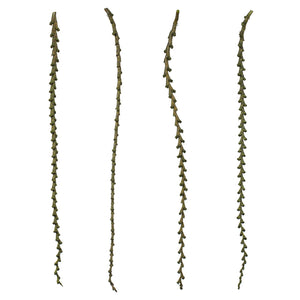 Vickerman 40-48" Basil Ladder Branches - Xl, Straight, 7 Stems, Dried