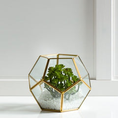 Torre & Tagus Oro Glass Sphere Terrarium, White, 6" x 7.5" x 7.5"