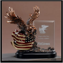 Treasure Of Nature Glass Imprint Eagle Frame w/American Flag, Bronze Plated